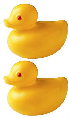 Two rubber ducks