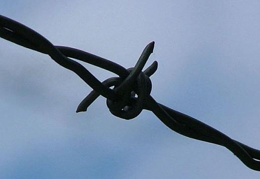 Image of Barbed Wire