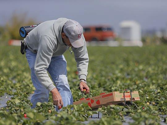 Thursday's Farmworker Housing Study Forum looked to develop an action plan moving forward.