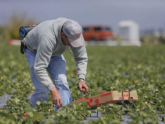 Thursday's Farmworker Housing Study Forum looked to develop an action plan moving forward. 