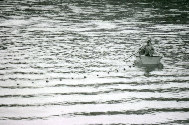 A local fishermen uses a gill net on the Klamath River in this 1978 photo. A local fishermen uses a gill net on the Klamath River in this 1978 photo.