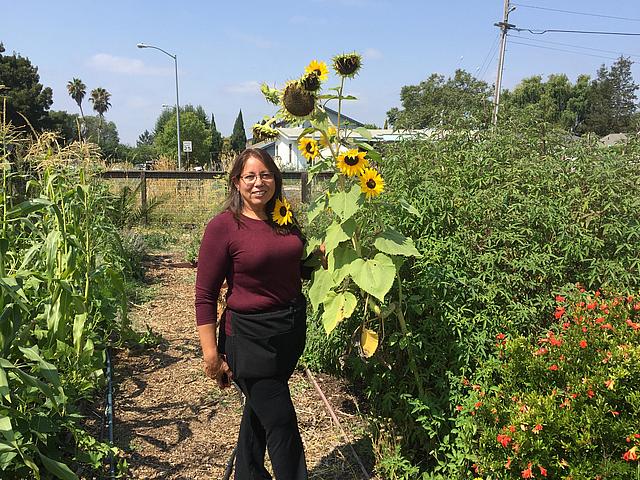 Maria de los Angeles Quiñones stands in the medicinal herb garden at Bayer Farms. Photo Credit: Adia White