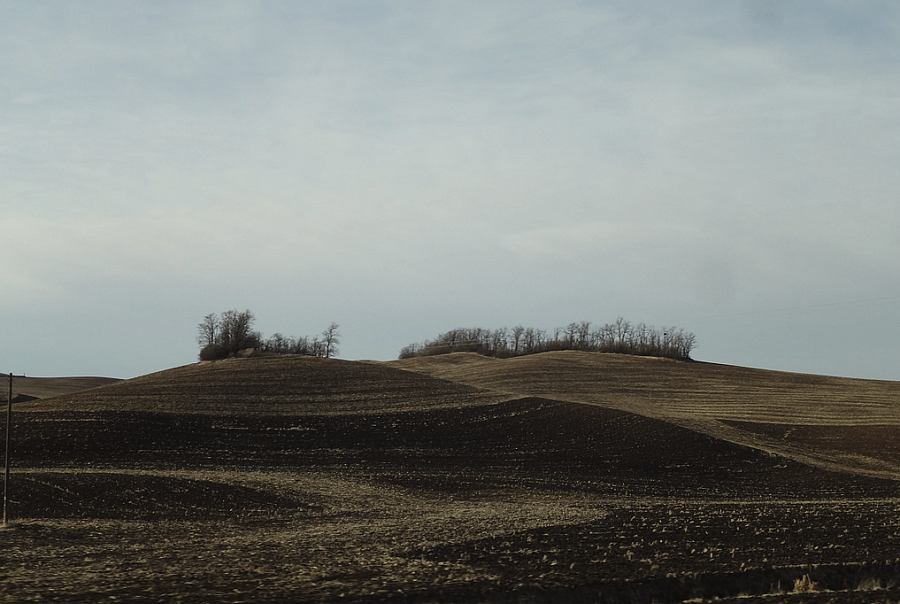 Valley fever has been found in the soil of Eastern Washington.