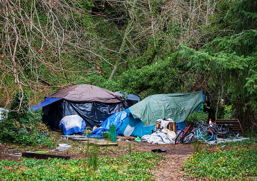 A homeless encampment in Olympia, Wash.