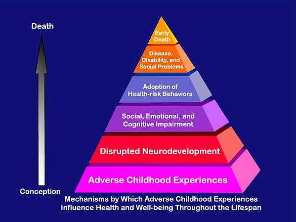 Adverse Childhood Experiences Study