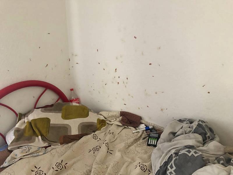 A Grand View tenant’s wall shows splotches of rusty red blood where bed bugs were smashed. Tenants were forced to move out of the Paso Robles complex after the landlords refused to make improvements and sold the property. Lindsey Holden LHOLDEN@THETRIBUNENEWS.COM