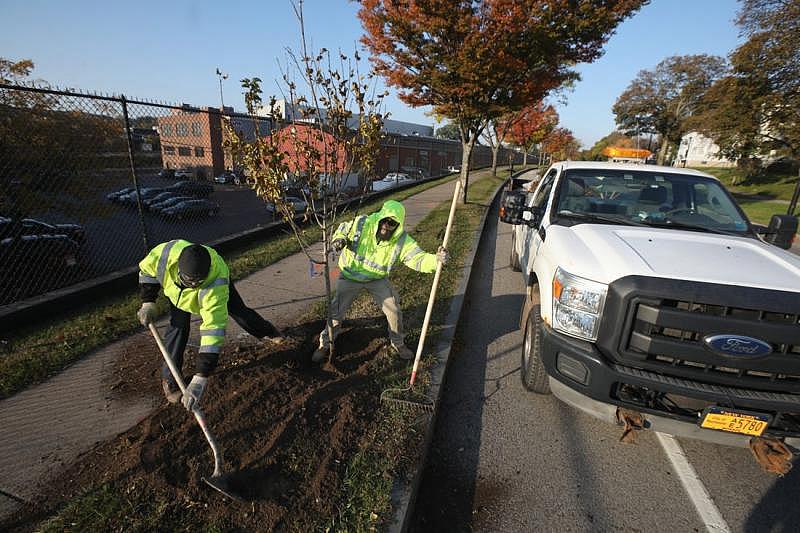 City of Rochester Department of Environmental Services, Parks Operations & Forestry crew Stefan Gassaway, left, and Darien Cotten plant a tree along the 400 block of Blossom Road in Rochester Friday, Nov. 5, 2021. The city crew planted six trees along Blossom Rd. SHAWN DOWD, DEMOCRAT AND CHRONICLE