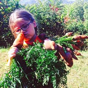 Wakinyan Raines picking carrots from his family garden in Cherokee, North Carolina. Credit: Lydia Roach-Raines