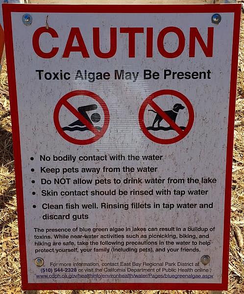 A sign warns people entering the East Bay Regional Park District about toxic algae at Lake Chabot in October 2015. PHOTO BY STEPHANIE K. BAER