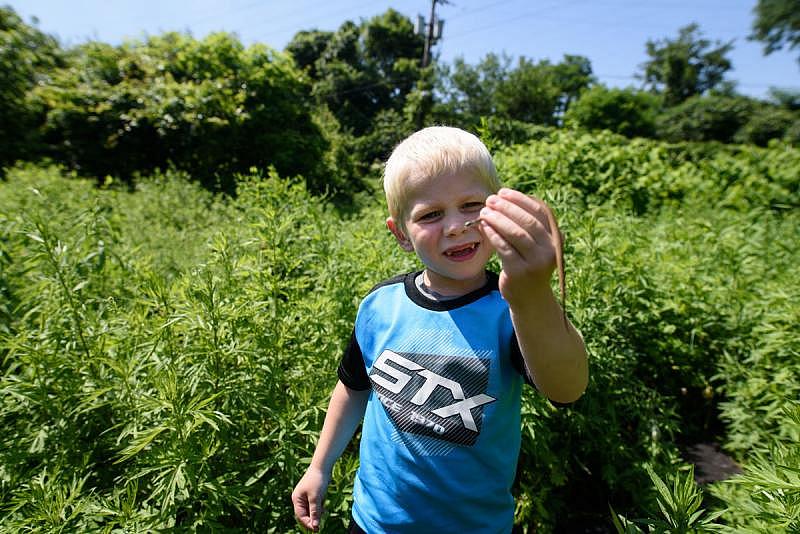 Cameron Gorman, 3, holds a snake he found on a vacant lot next to his great-grandmother’s house on June 10, 2017 in Esplen, a neighborhood in Pittsburgh, Pa. Gorman began living with with his great-grandmother, Patricia Savulchak, 73, who has kinship caregiver status, after his mother died of an opioid overdose in March. Justin Merriman / Arizona Daily Star