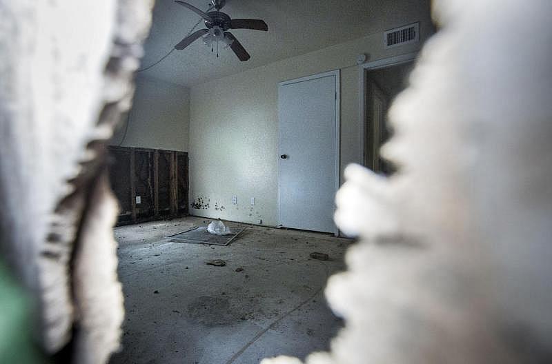 Black mold was evident at an Autumn Park apartment through a hole in the exterior wall Feb. 20, 2018. Some of the apartment buildings in the complex are still unlivable more than a year after Hurricane Harvey. (Photo Credit: Angela Piazza/Victoria Advocate) Black mold was evident at an Autumn Park apartment through a hole in the exterior wall Feb. 20, 2018. Some of the apartment buildings in the complex are still unlivable more than a year after Hurricane Harvey.