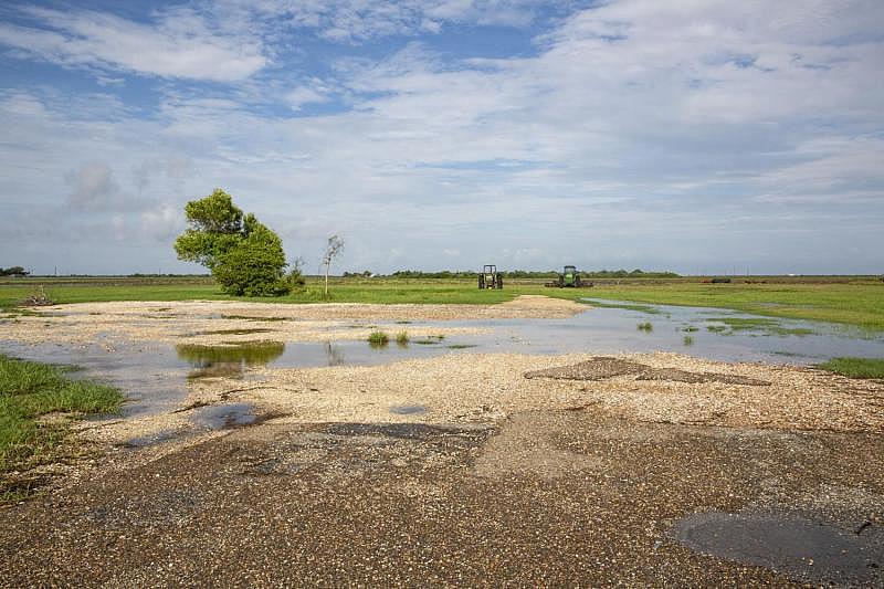 An empty lot is all that is left of Bayside's only restaurant Crofutt's. Hurricane Harvey destroyed the popular sandwich shop and bakery. (Photo Credit: Angela Piazza/Victoria Advocate) An empty lot is all that is left of Bayside's only restaurant Crofutt's. Hurricane Harvey destroyed the popular sandwich shop and bakery.