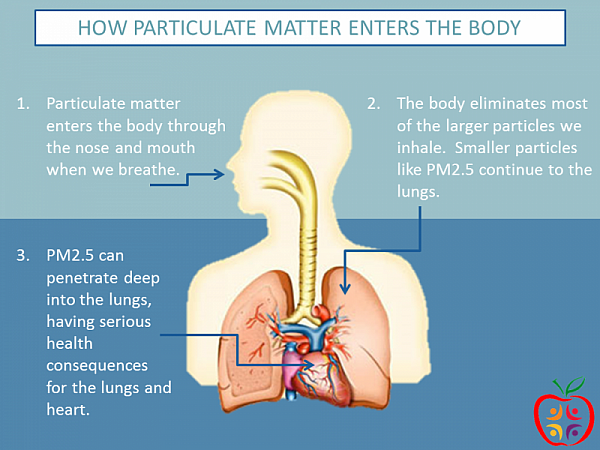 Particulate matter or particle pollution is a combination of solid particles and liquid droplets that are small enough to reach the small airways in the lungs, potentially causing damage. IMAGE BY THE UTAH DEPARTMENT OF HEALTH