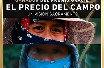 Gracie Award Graphic