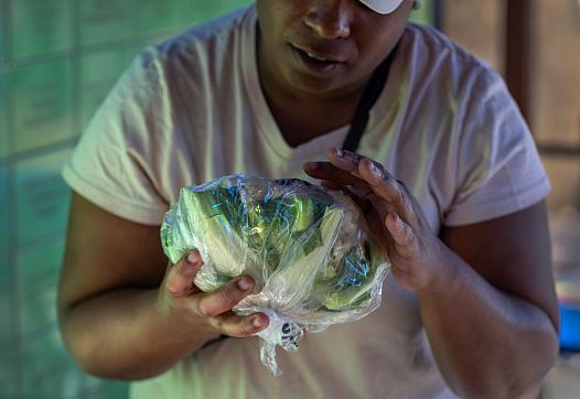 Person holding a green vegetable