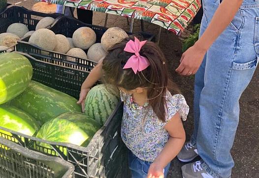 Young Girl looking at watermelon