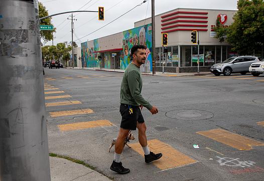 Person and dog walk on crosswalk