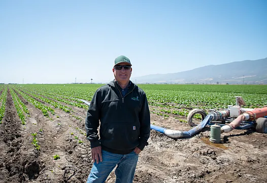 Person standing on a farm
