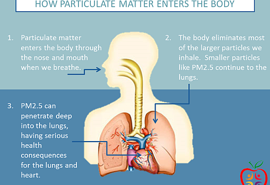 Particulate matter or particle pollution is a combination of solid particles and liquid droplets that are small enough to reach 