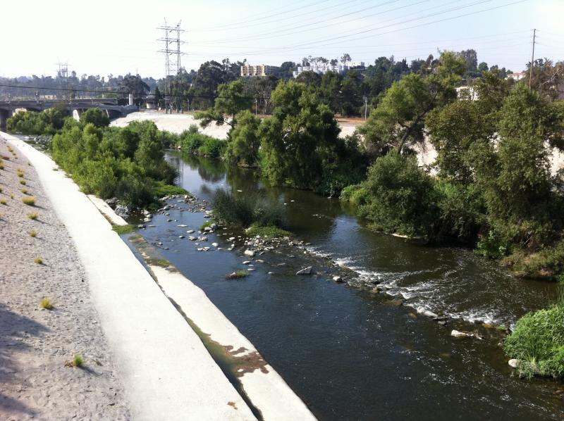 Soft-bottom stretch of the Los Angeles River in Atwater Village. Photo by Philip Graitcer