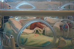 Premature baby