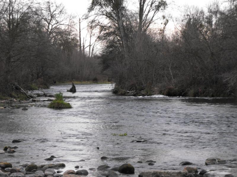 Fresno River, environmental health, water pollution, toxins, Joy Horowitz, reporting on health