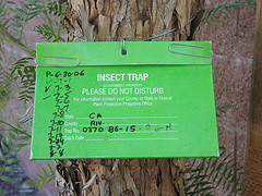 Insect Trap West Nile Virus